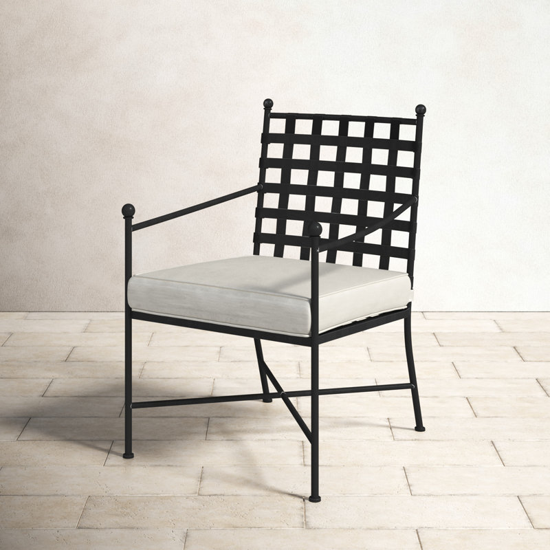 Birch Lane™ Lucier Patio Dining Armchair with Cushion & Reviews Wayfair